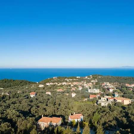 Mare By Vintage Travel